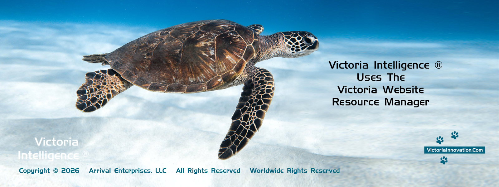Victoria Intelligence ® In Progress ©